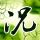 谢娜说演唱会没有遗憾了